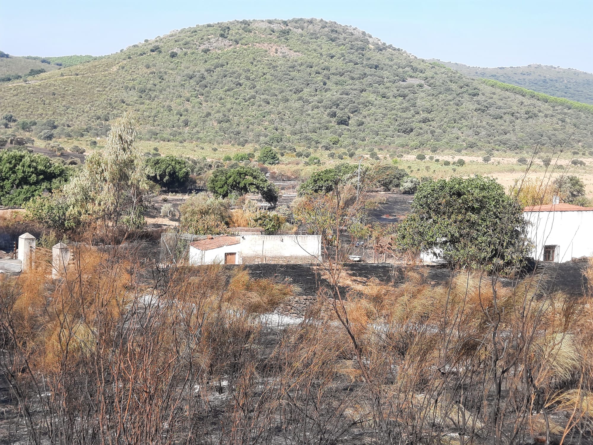 Incendio de Alburquerque