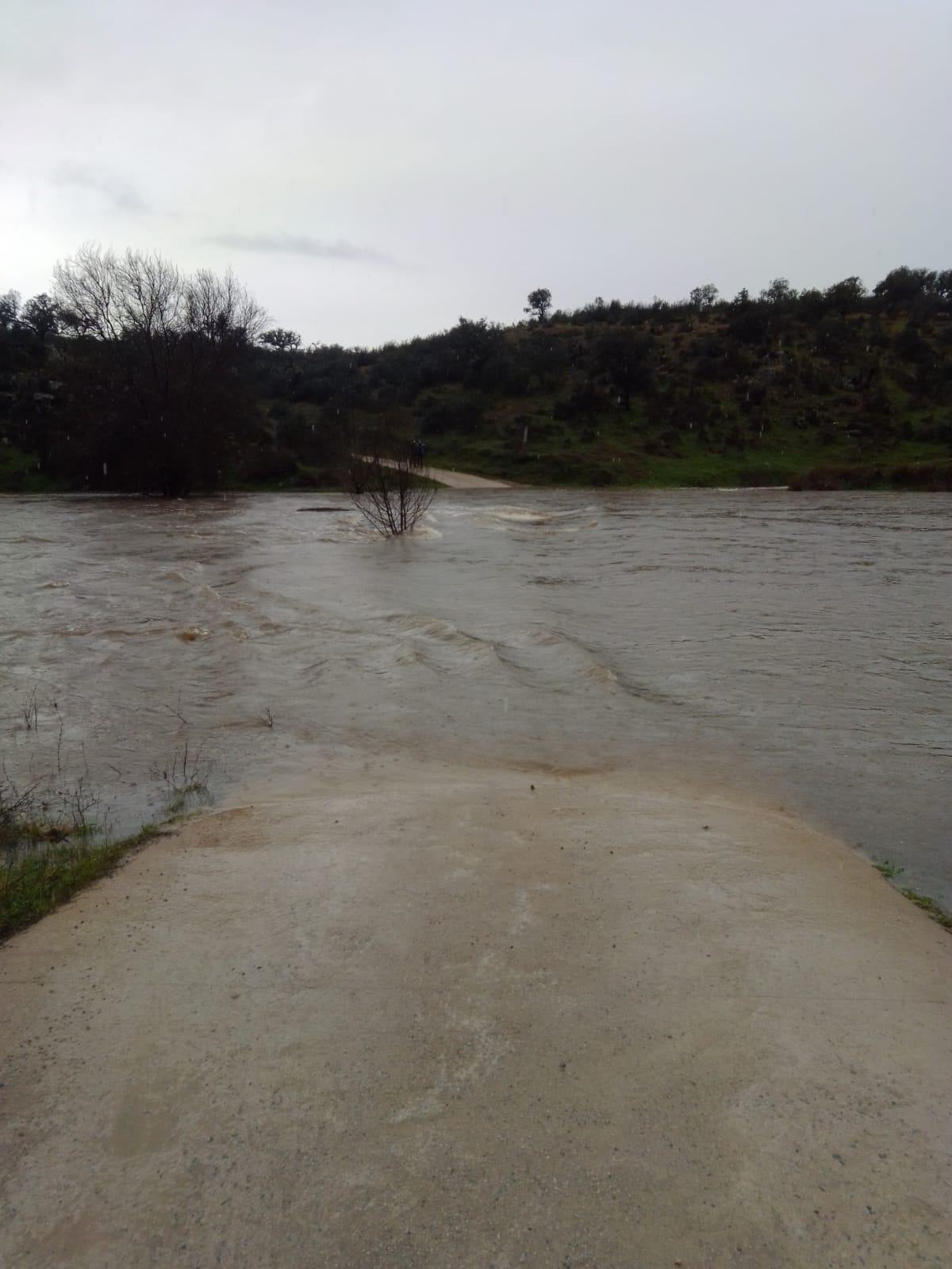 Vecinos aislados en Cuartos del Baño (Cáceres) por la crecida del río Salor