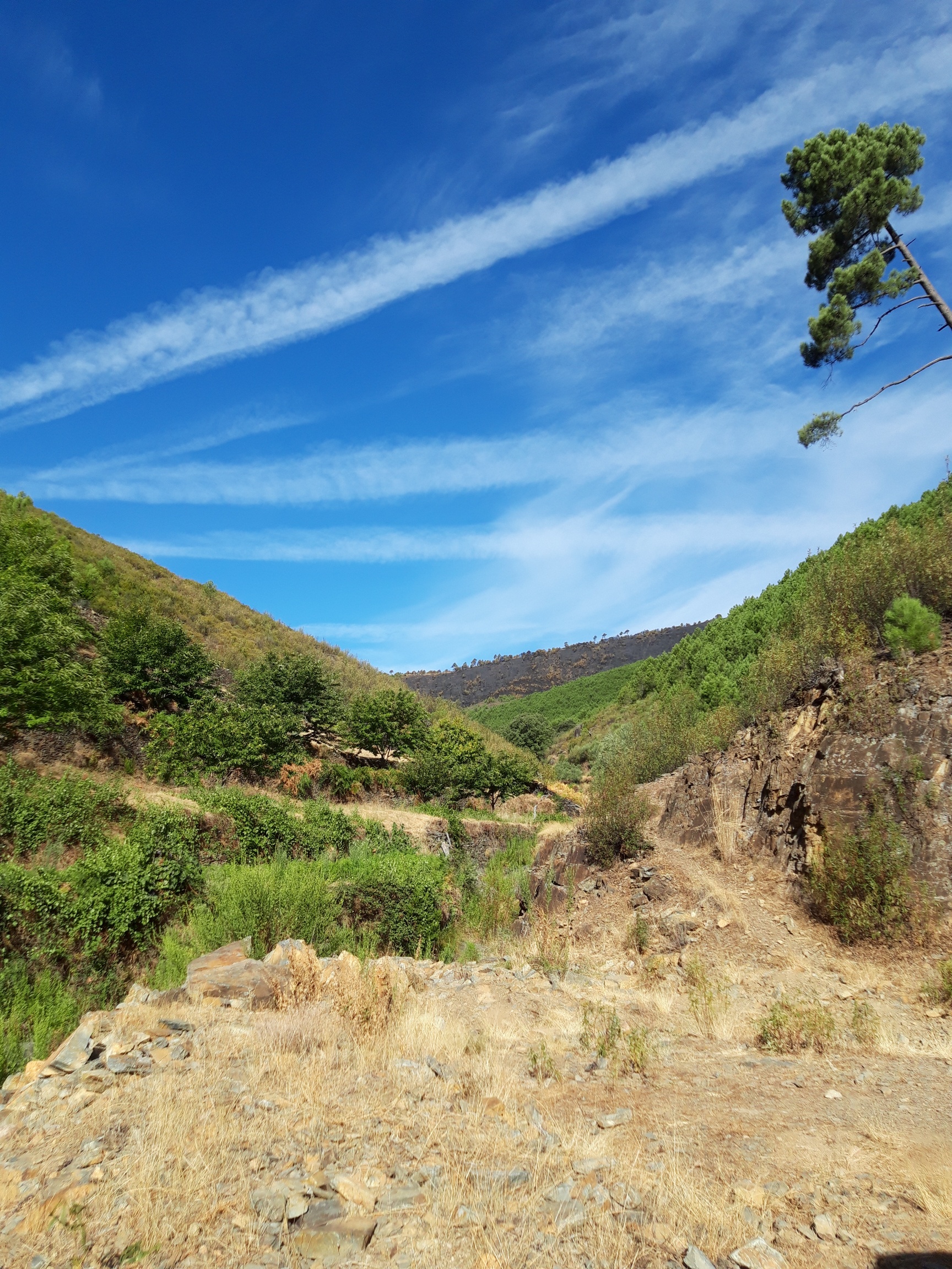 Imágenes de la zona del incendio