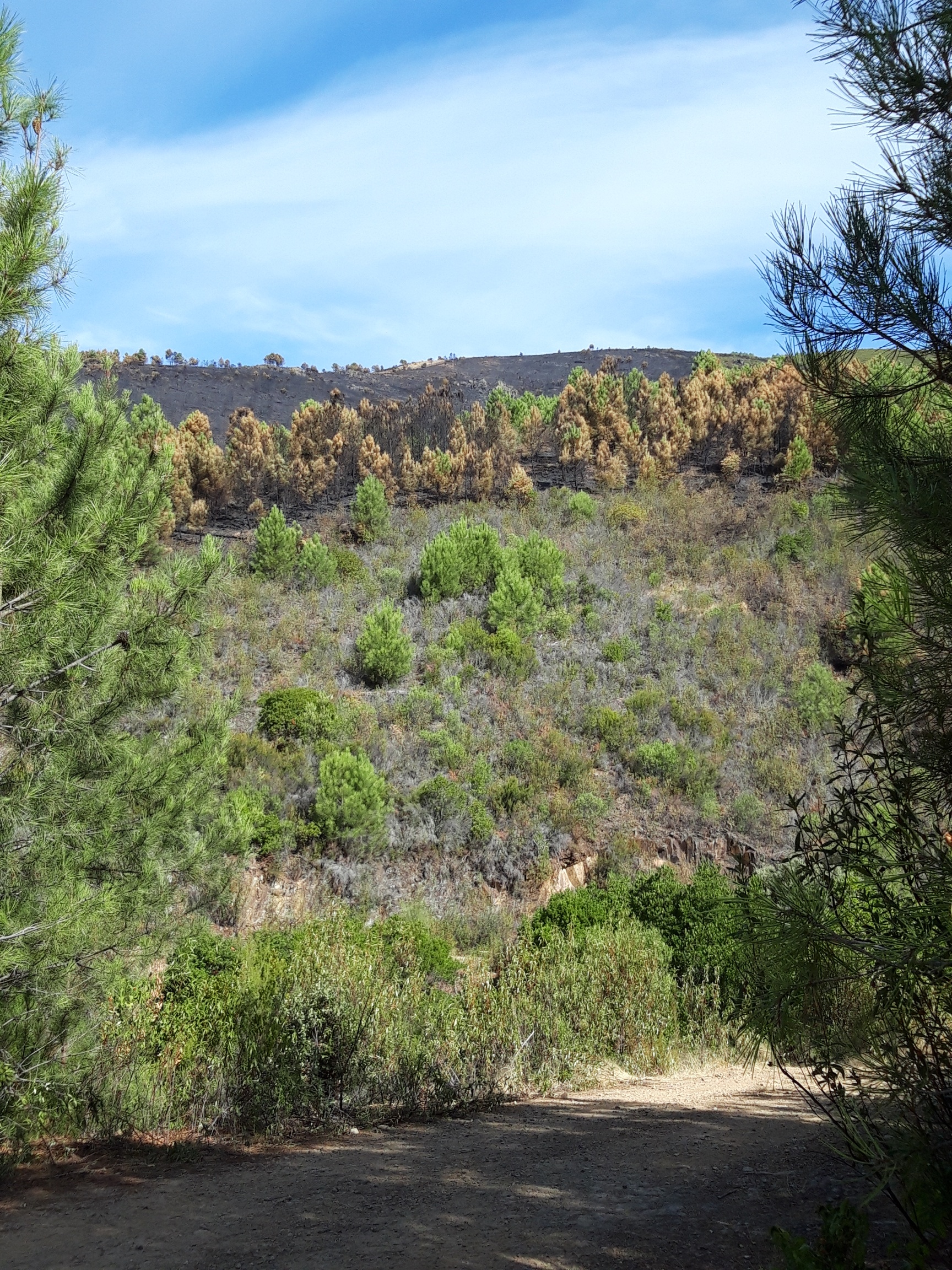 Imágenes de la zona del incendio