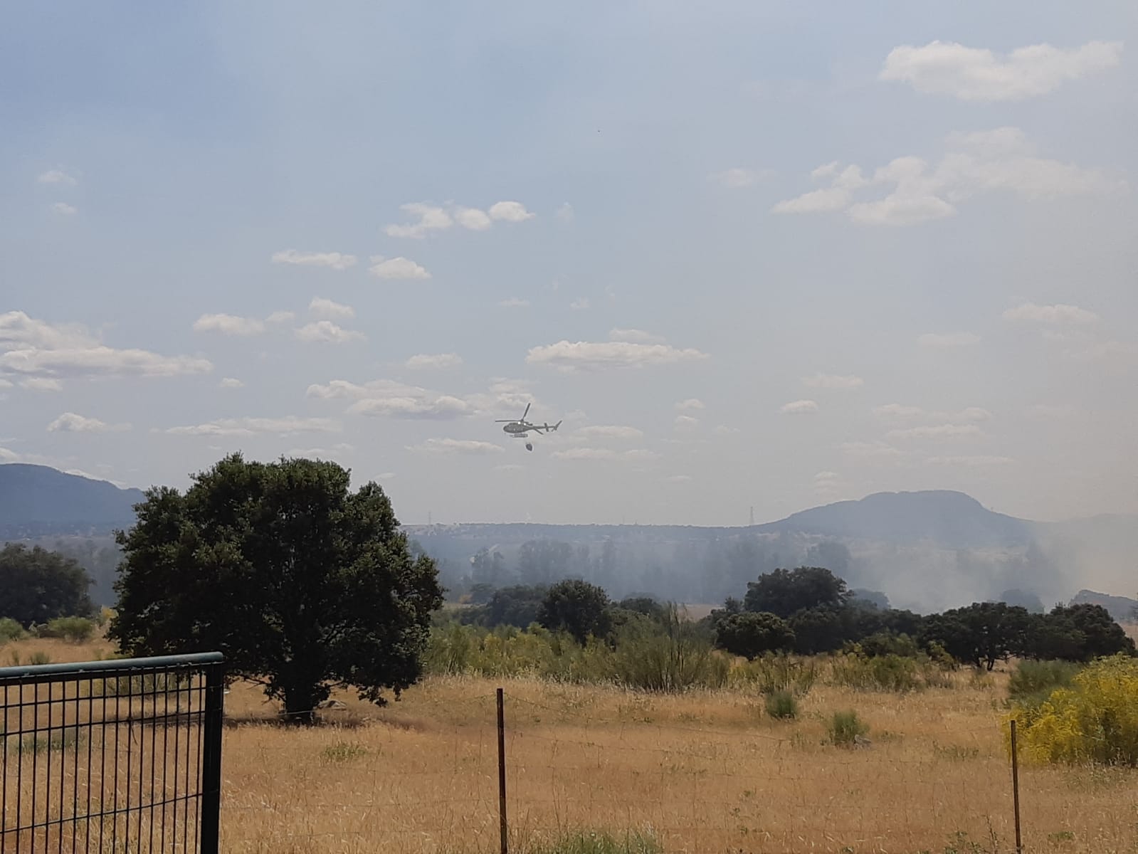 Incendio dehesa en Mérida