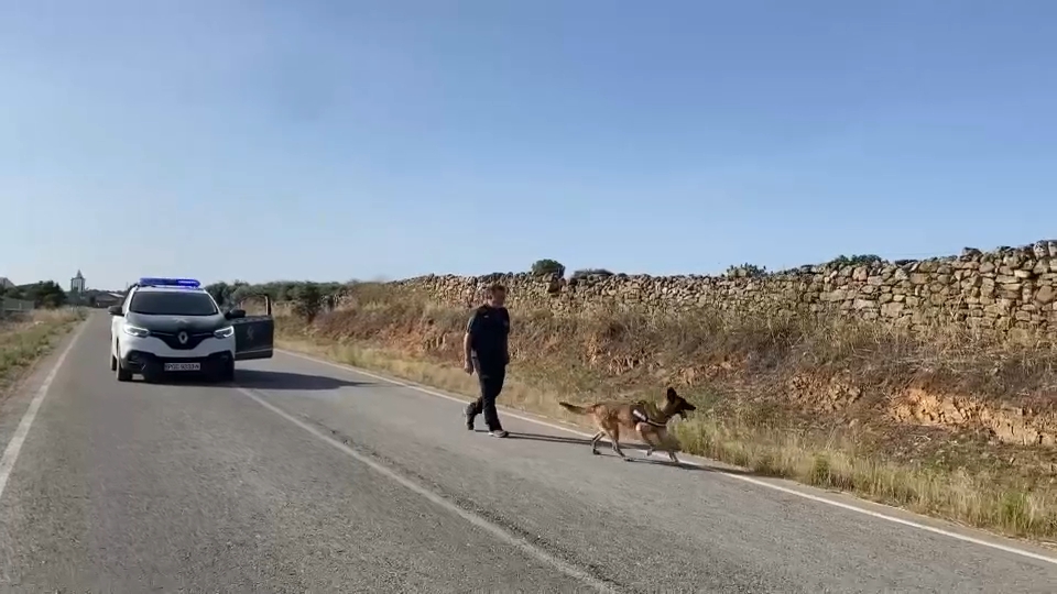 Operativo de búsqueda en Plasenzuela