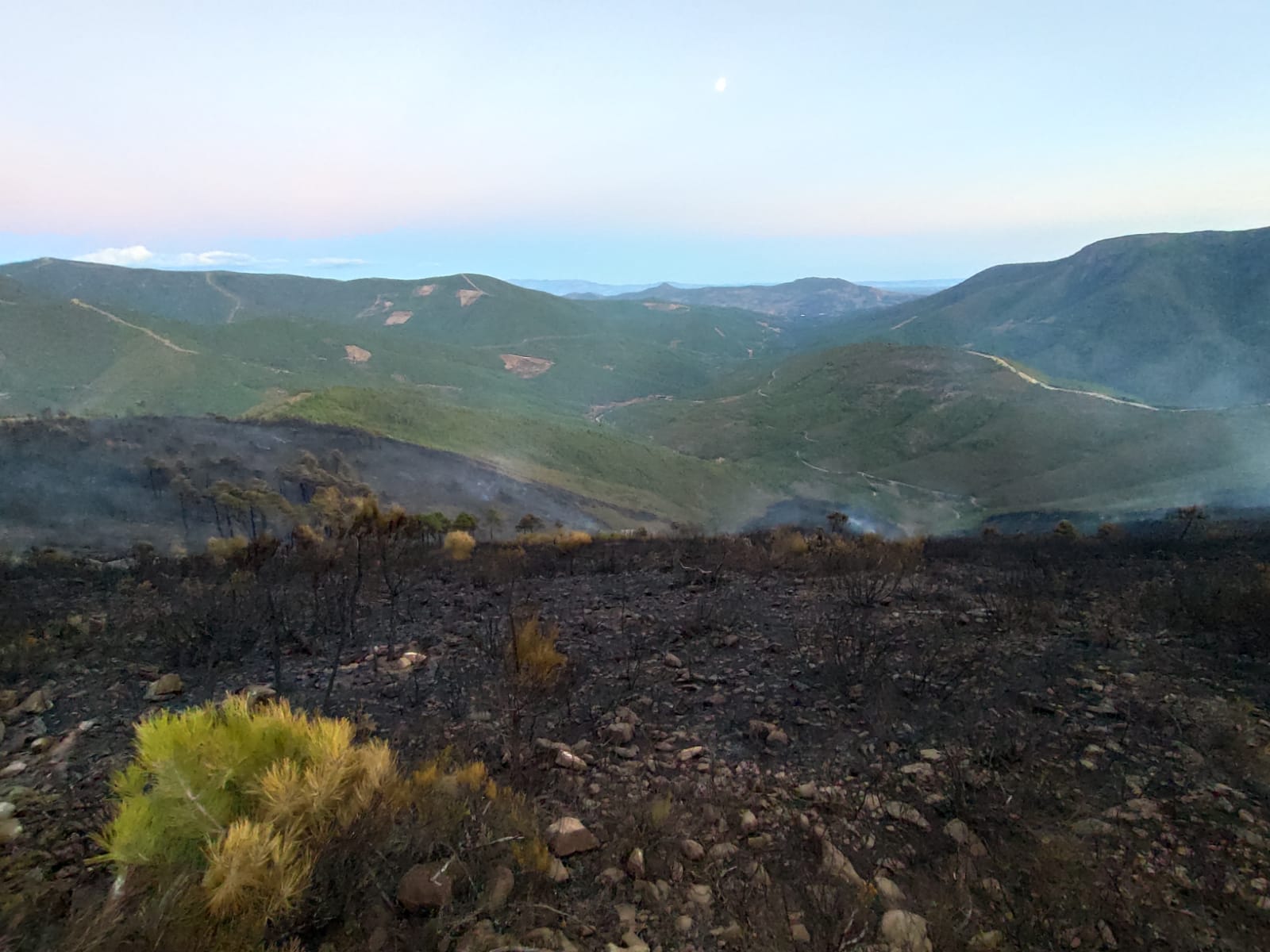 Nuestros compañeros desplazados en Garganta la Olla nos envían esta imagen que atestigua el daño causado por el incendio en la zona.