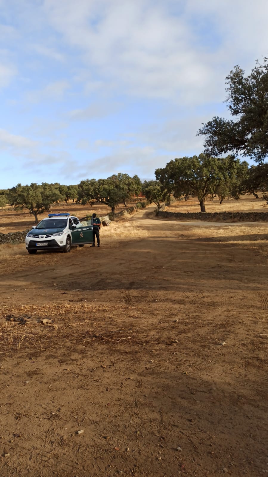 Patrullas de la Guardia Civil en la finca del detenido