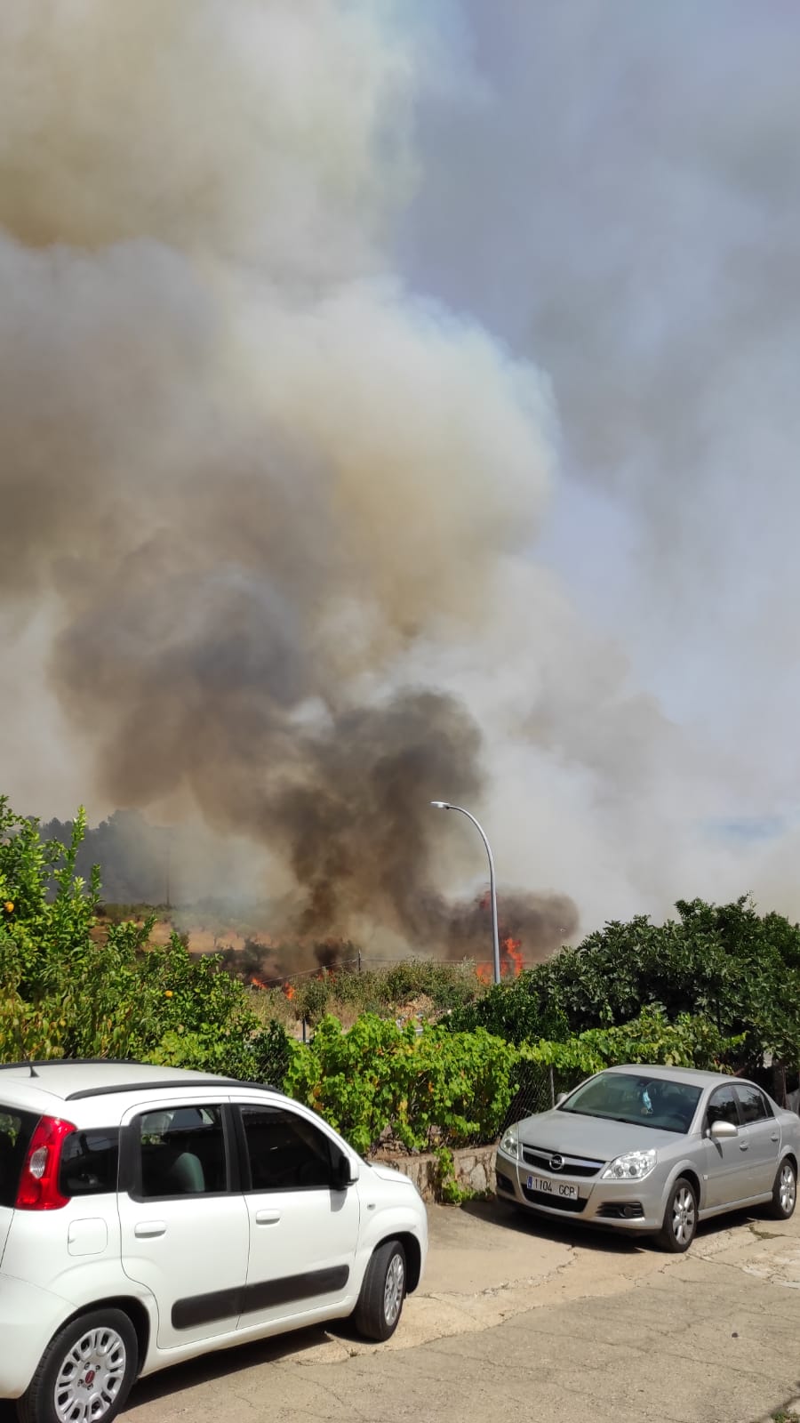 Incendio en Perales del Puerto | Cristina Dols