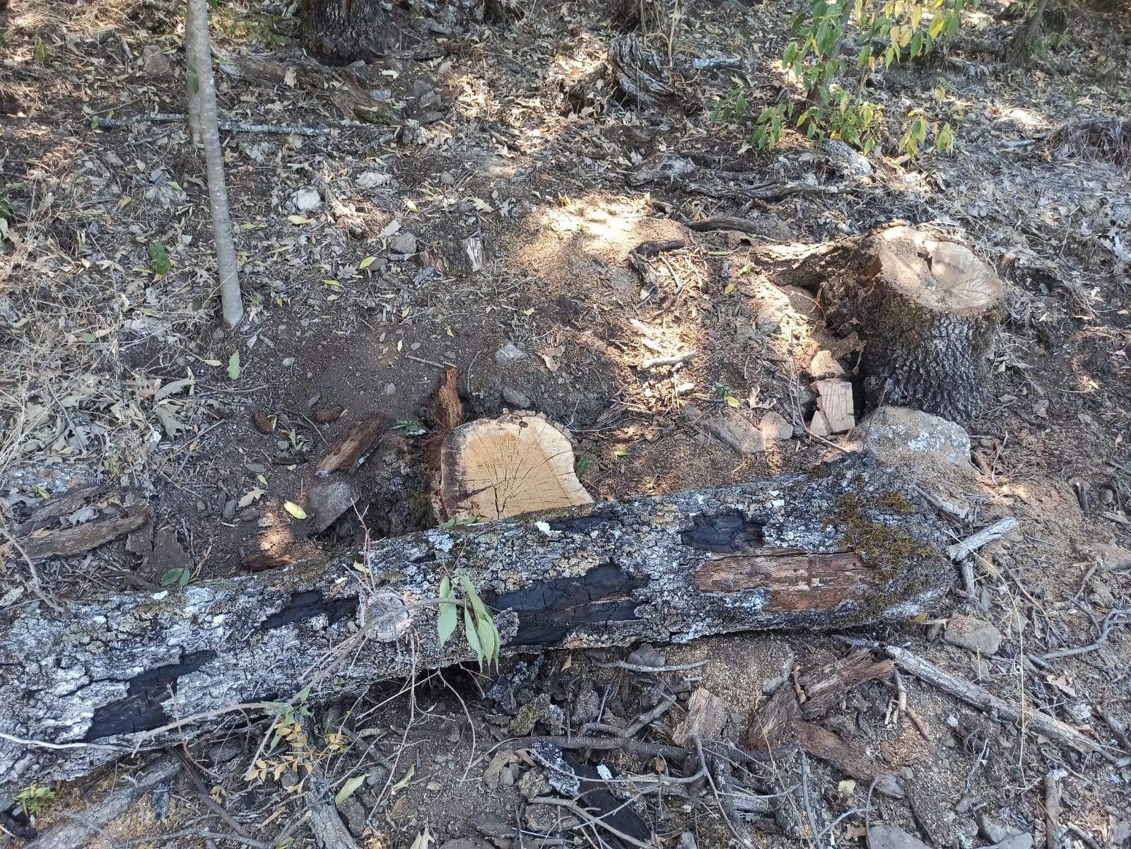 Lugar donde se ha producido el accidente mortal