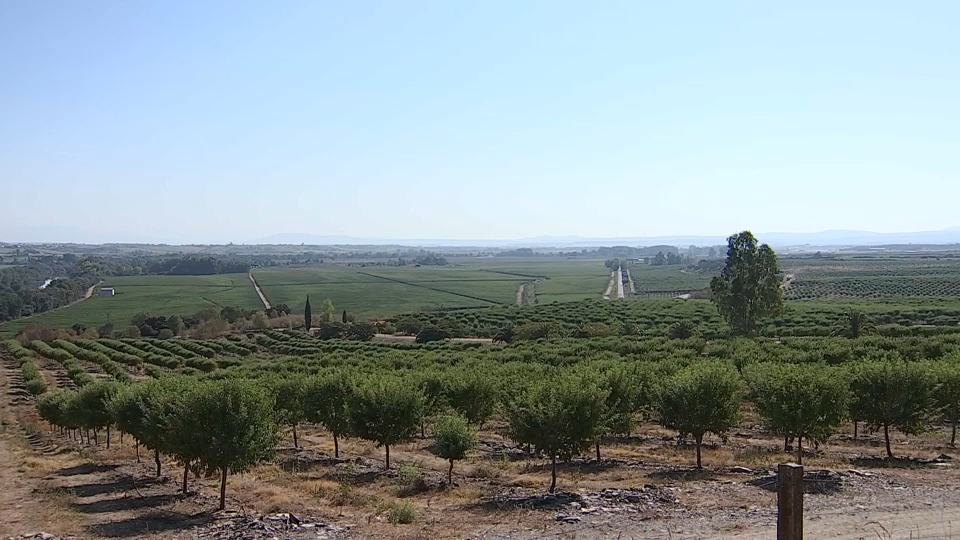 Proyecto Capota para el mejor aprovechamiento de la almendra