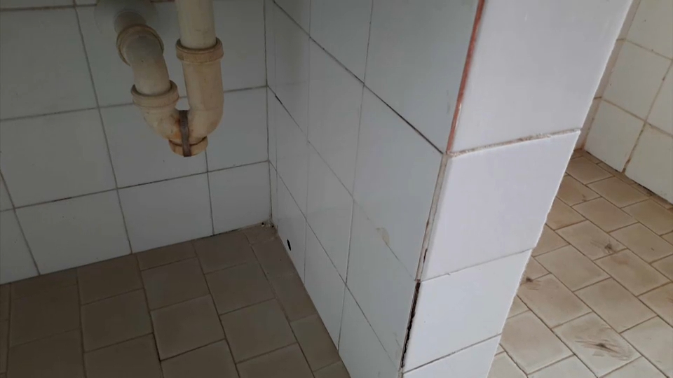 estado baños colegio pueblonuevo