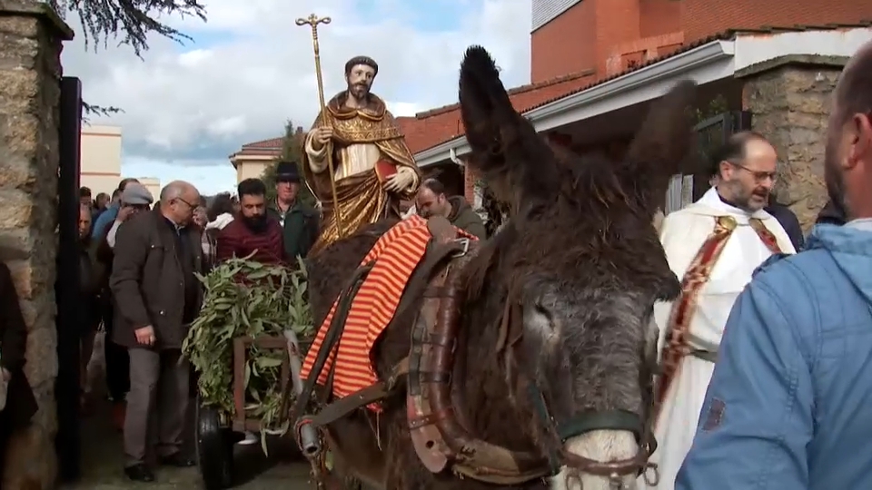 Bendición de animales en Plasencia