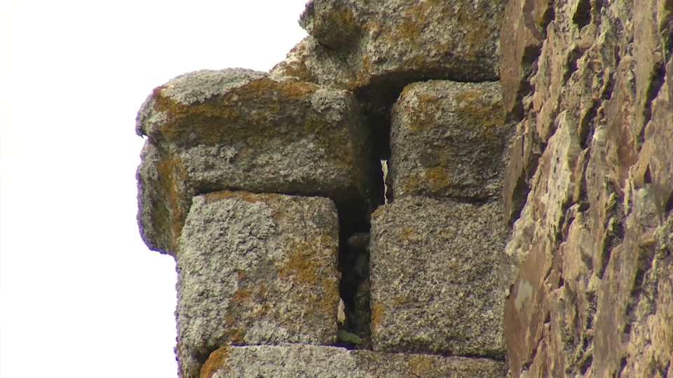 castillo alburquerque