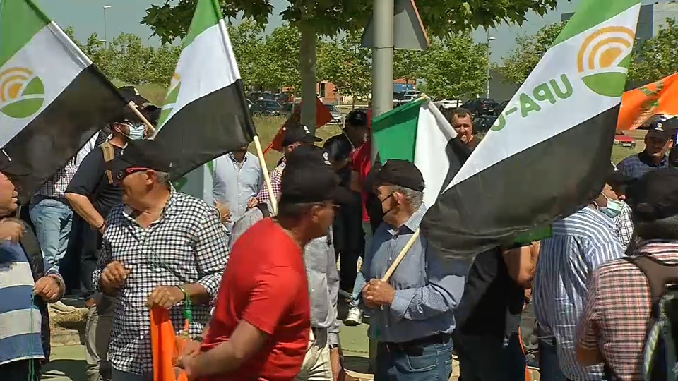 Organismos y colectivos sociales valoran los nombramientos