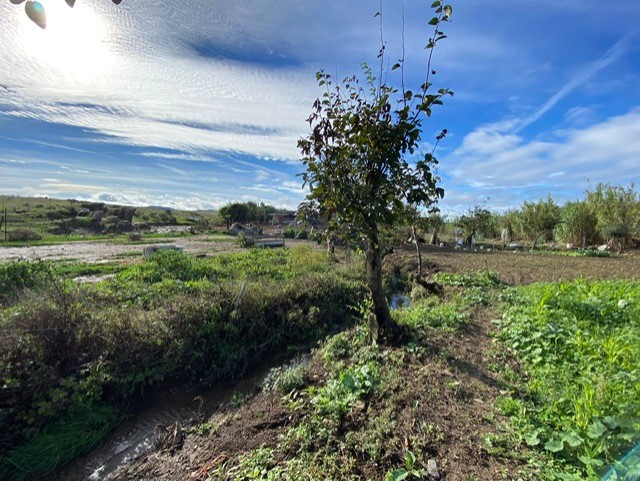 Ribera del Marco en Cáceres