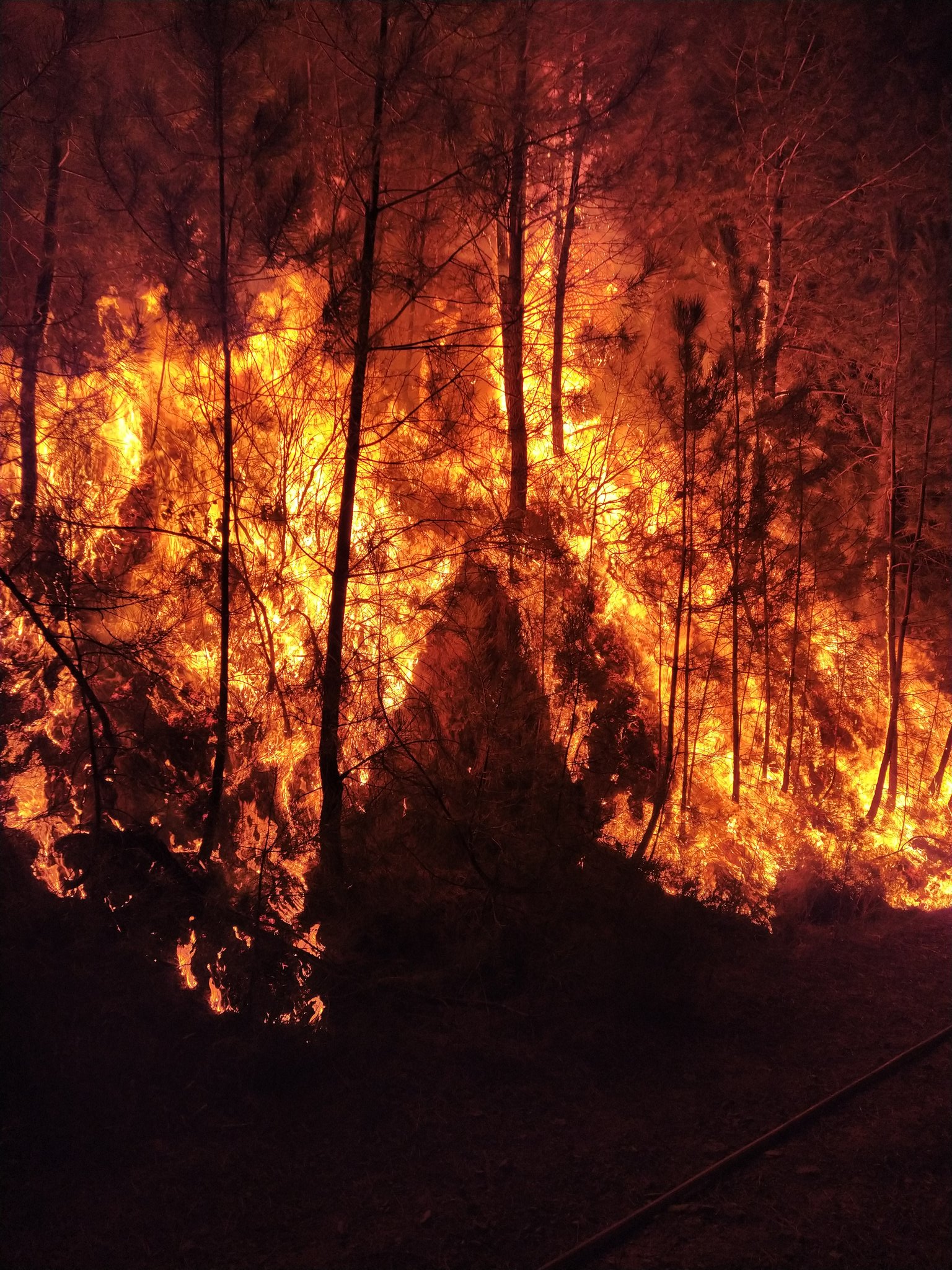 Imagen del incendio la pasada madrugada 