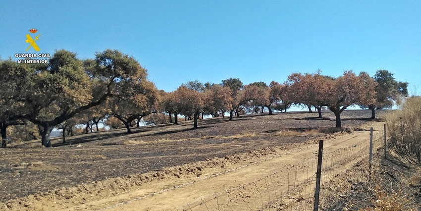 Investigan al supuesto autor del incendio que afectó a Burguillos del Cerro y Feria