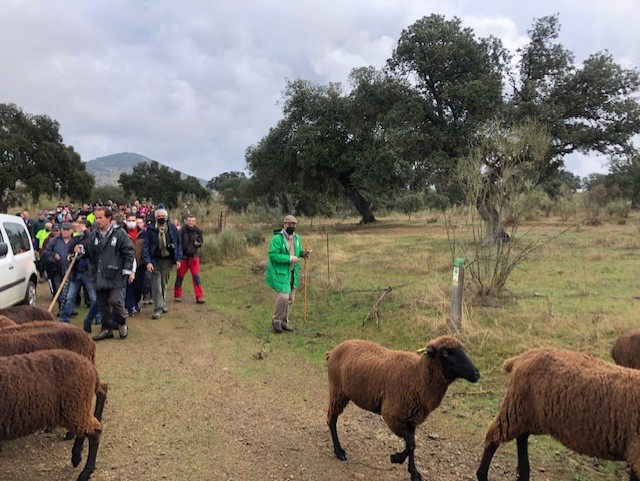 Pastores recorriendo la Cañada Real