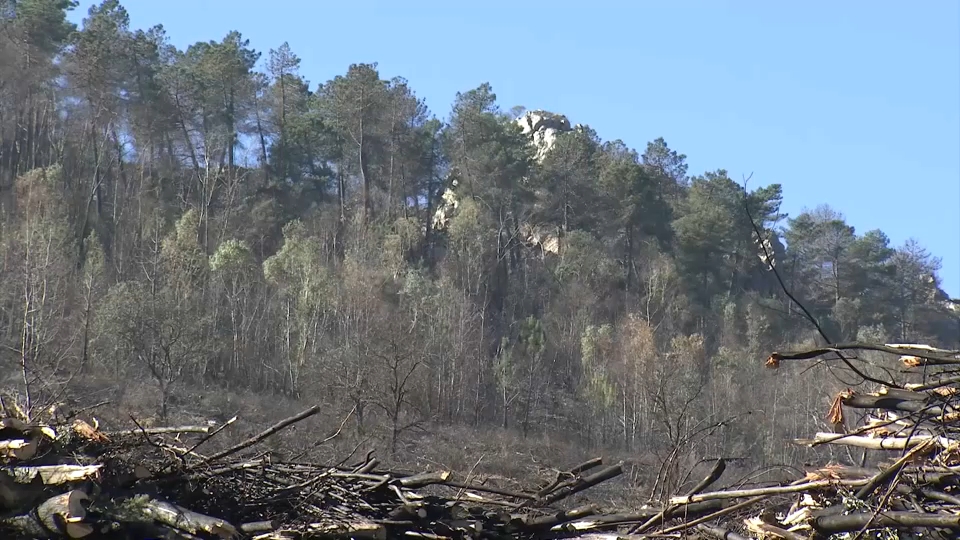 Monfragüe tendrá más cortafuegos, puntos de agua y accesos para reducir los tiempos de respuesta ante incendios