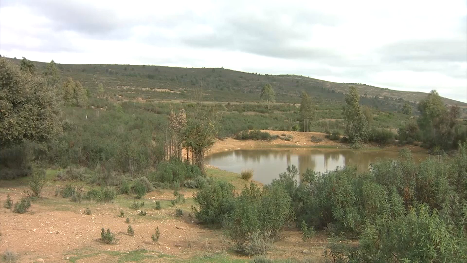 Monfragüe tendrá más cortafuegos, puntos de agua y accesos para reducir los tiempos de respuesta ante incendios