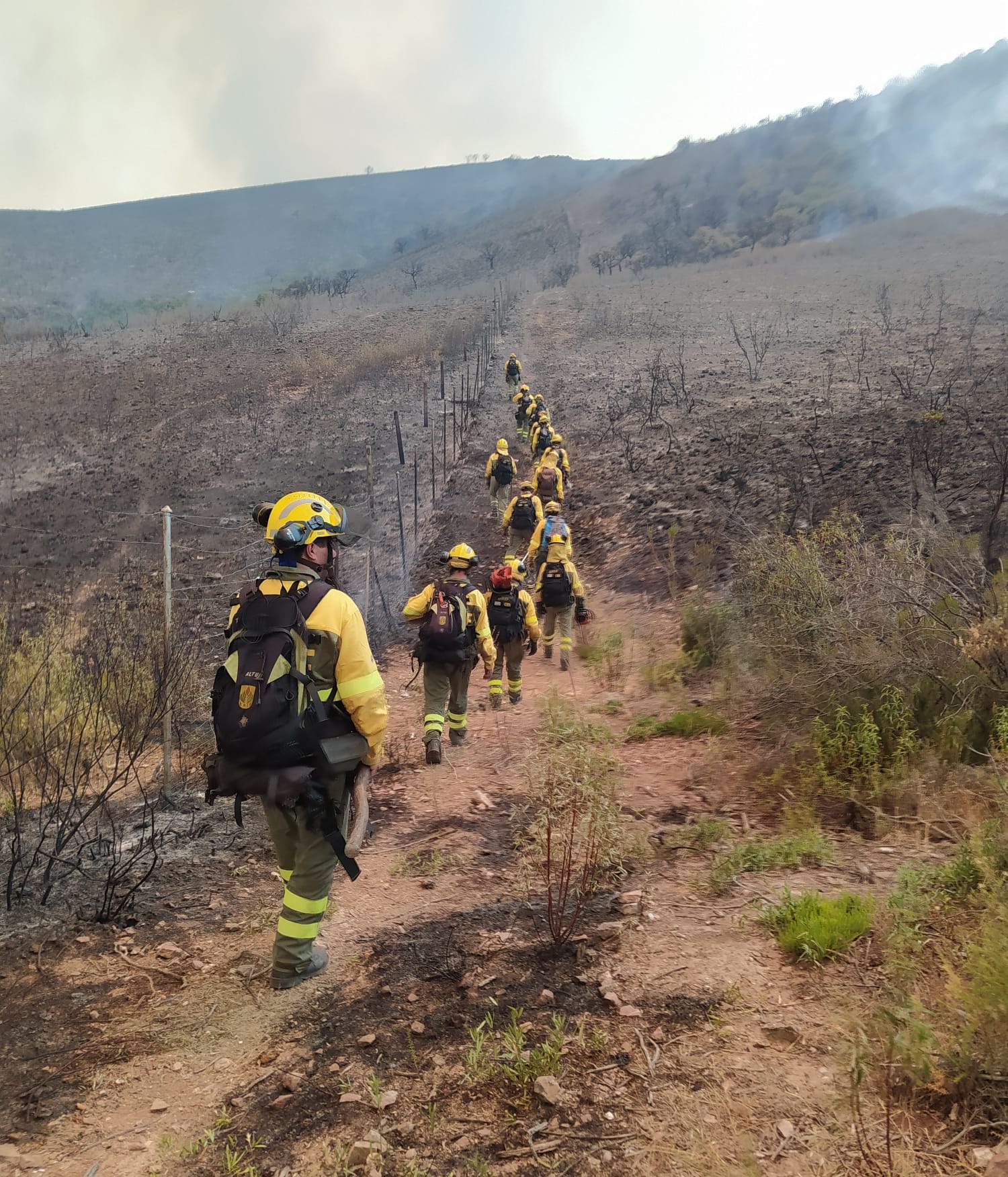 La BRIF de Pinofranqueado, trabajando en el incendio de Casas de Miravete.