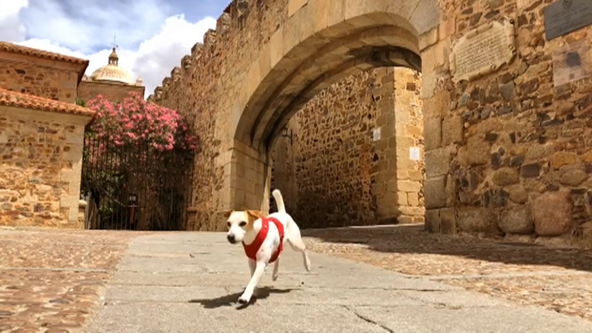 Pipper en Cáceres