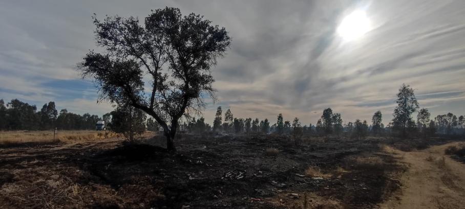 Incendio cerca de la Base de Bótoa y de la carretera N-523