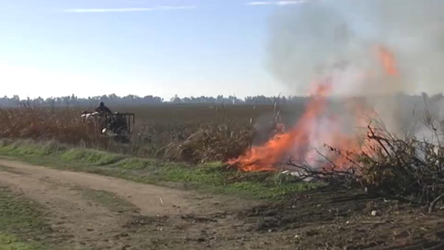 Peligro bajo de incendios