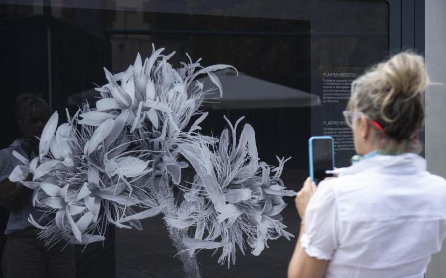 La exposición 'Nanocosmos' recala en Badajoz con una mirada diferente sobre la flora y la fauna en su escala más pequeña