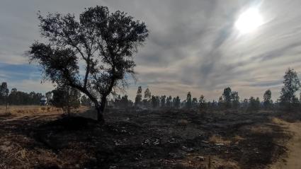 Incendio cerca de la Base de Bótoa y de la carretera N-523