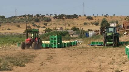 Plan Renove Maquinaria agrícola