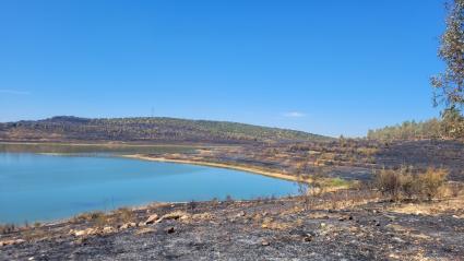 Incendio en Alange