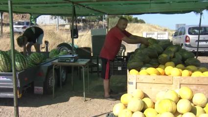 Puesto de sandías y melones en Almendralejo