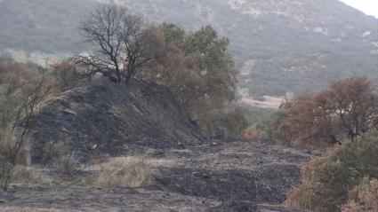 Imagen tras el incendio de Puebla del Maestre