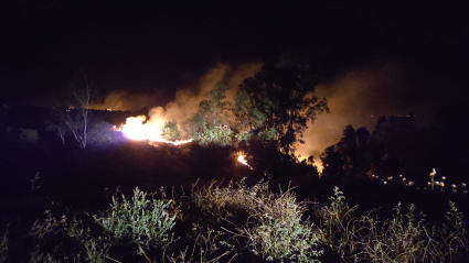 Incendio forestal de Lobón