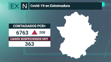 Resumen de los datos epidemiológicos acumulados