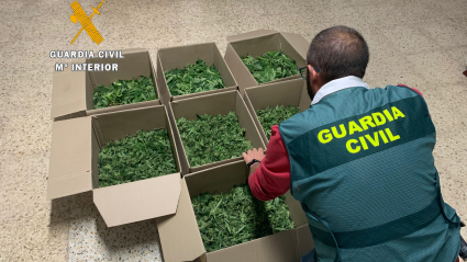 Agente de la Guardia Civil con parte de la marihuana incautada