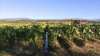 Las organizaciones agrarias piden precios justos para el campo