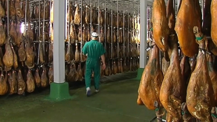 Secadero de jamones ibéricos en Extremadura.