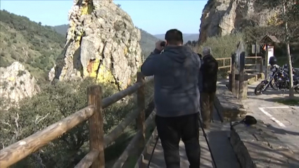 Avistamiento de aves en el Salto del gitano de Monfragüe