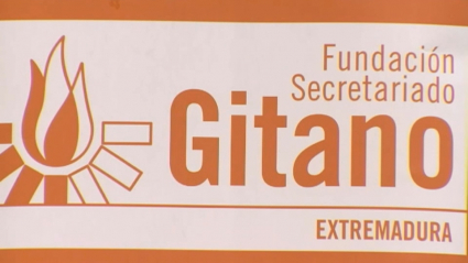 vidi secretariado gitano