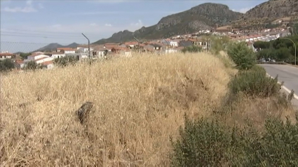 Lugar de accidente de coche en Hornachos