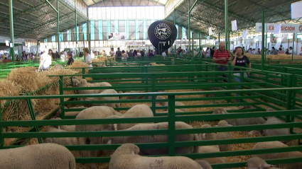 Imagen de uno de los pabellones de la Feria Internacional Ganadera de Zafra 