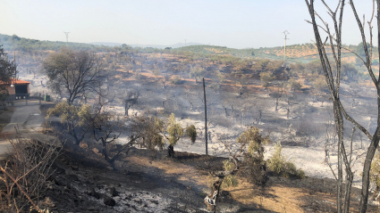 Imágenes del incendio de Guadalperal