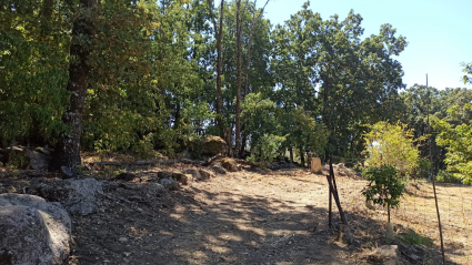 Lugar donde se ha producido el accidente mortal