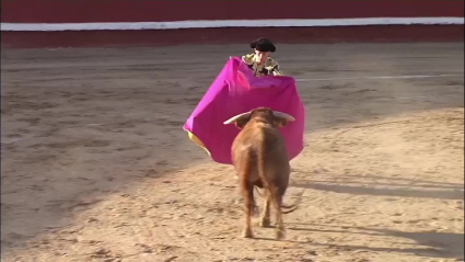 tierra de toros 318