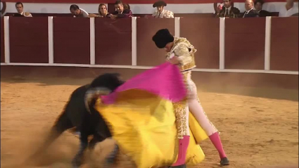 tierra de toros 319 -1