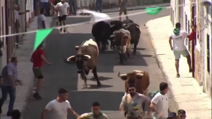 toros buenaventura