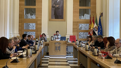 Pleno municipal de Cáceres