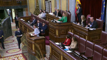 Irene Montero en el Congreso