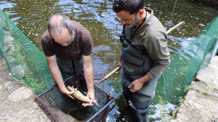 Salmones en Jerte