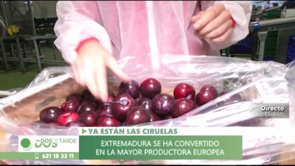 ciruelas extremeñas