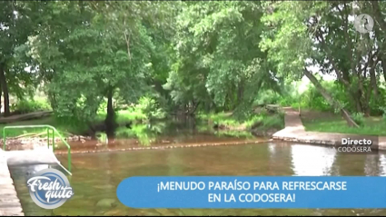 piscina natural de la codosera